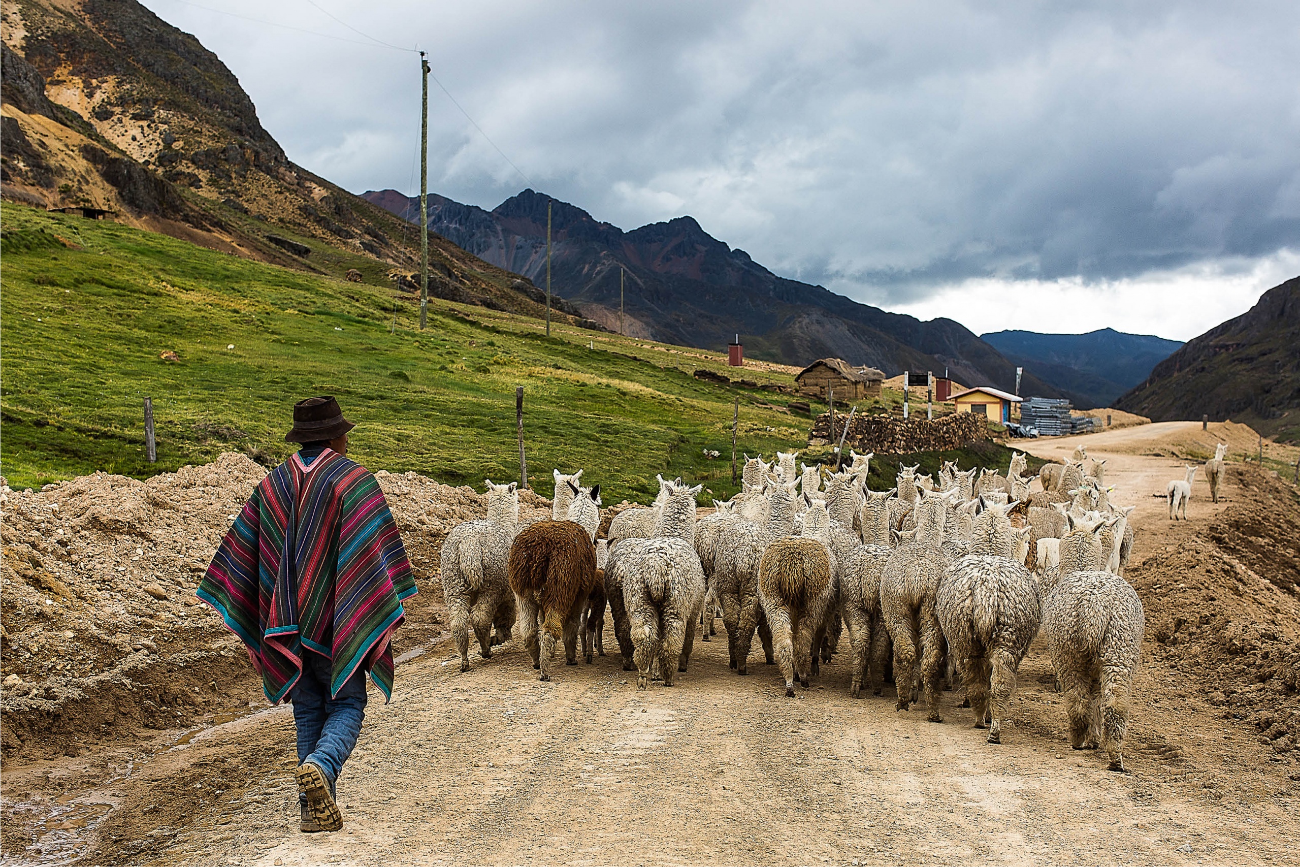 2016 LN Knits Peru_dag 5_Ayacucho_Alpaca's BLOG6