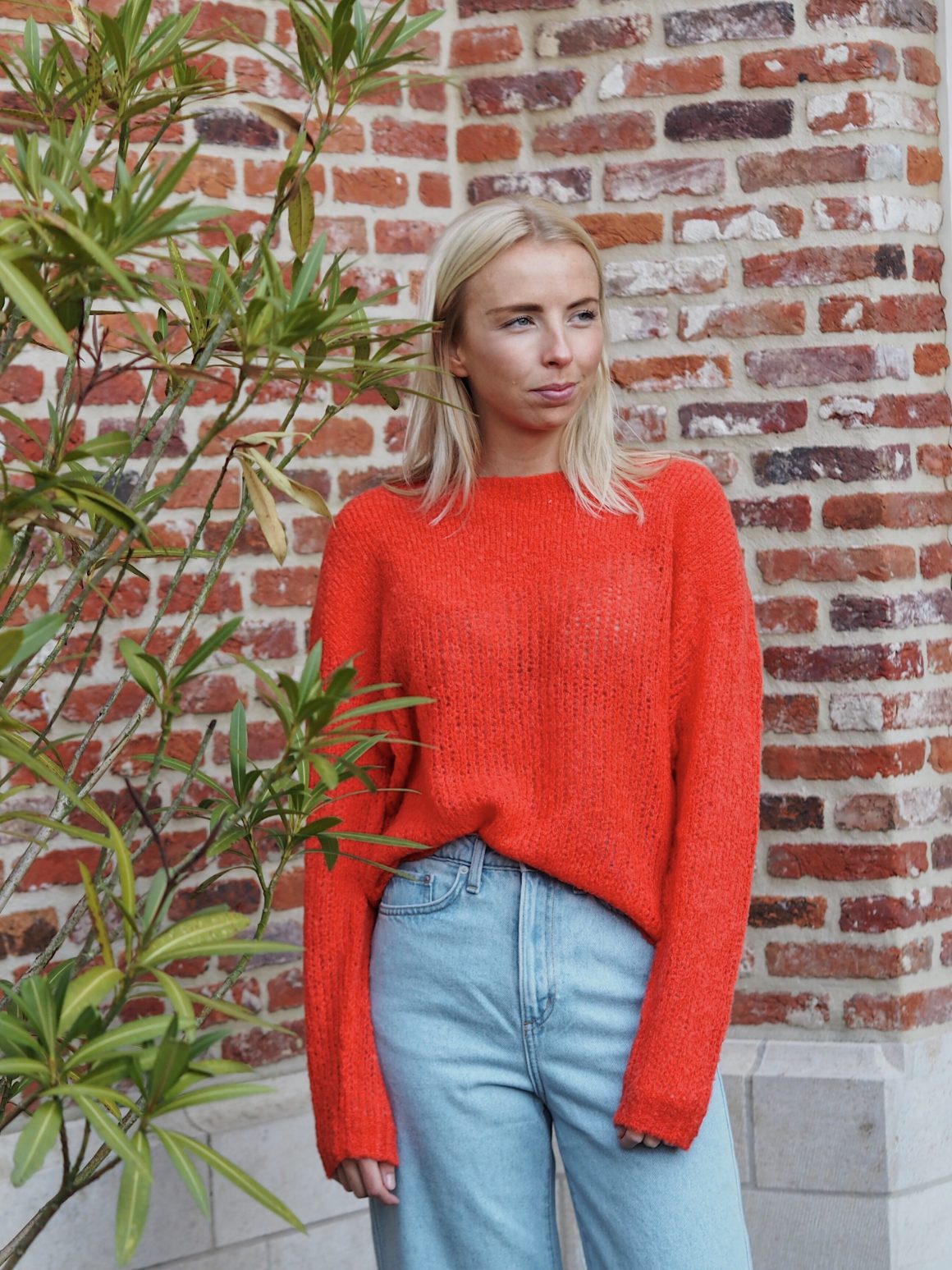 The Faces Behind LN pt. 6: Cosy Charlotte is Back! – LN|Knits